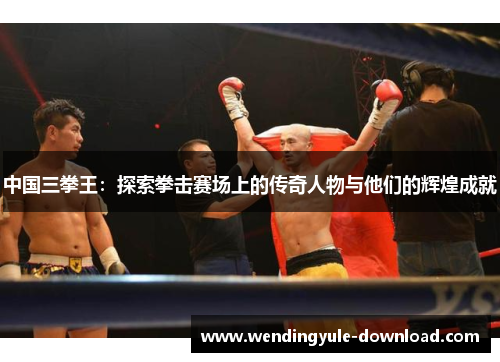 中国三拳王：探索拳击赛场上的传奇人物与他们的辉煌成就