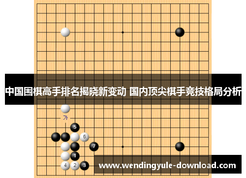 中国围棋高手排名揭晓新变动 国内顶尖棋手竞技格局分析